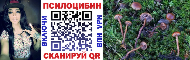 Псилоцибиновые грибы MAGIC MUSHROOMS  купить   Шумерля 