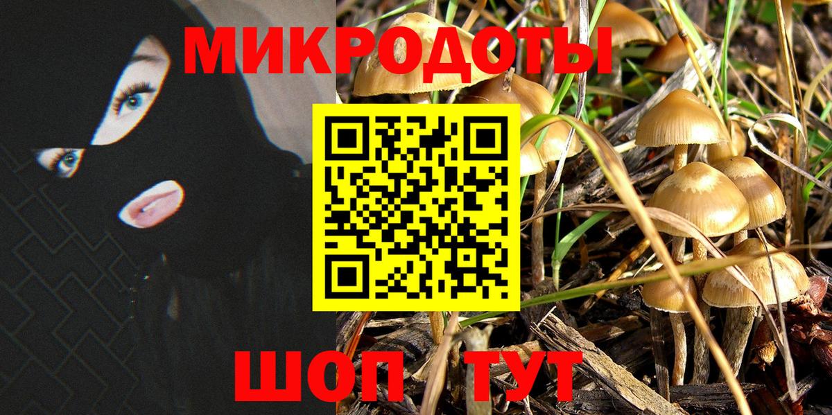 Псилоцибиновые грибы GOLDEN TEACHER  Вход с VPN  Шумерля  Галлюциногенные грибы Magic Shrooms 