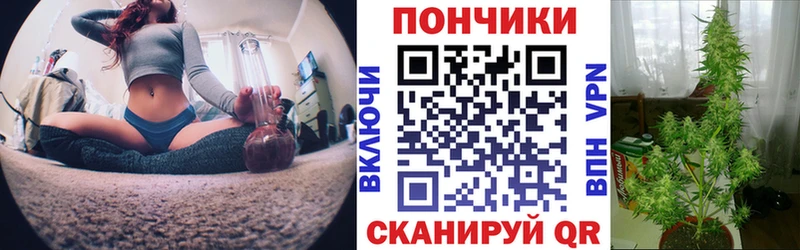Шишки марихуана Ganja  кракен как зайти  Шумерля 